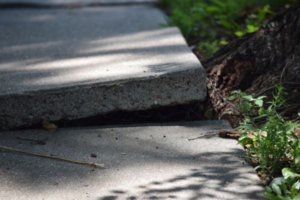 Sidewalk Leveling in Troy